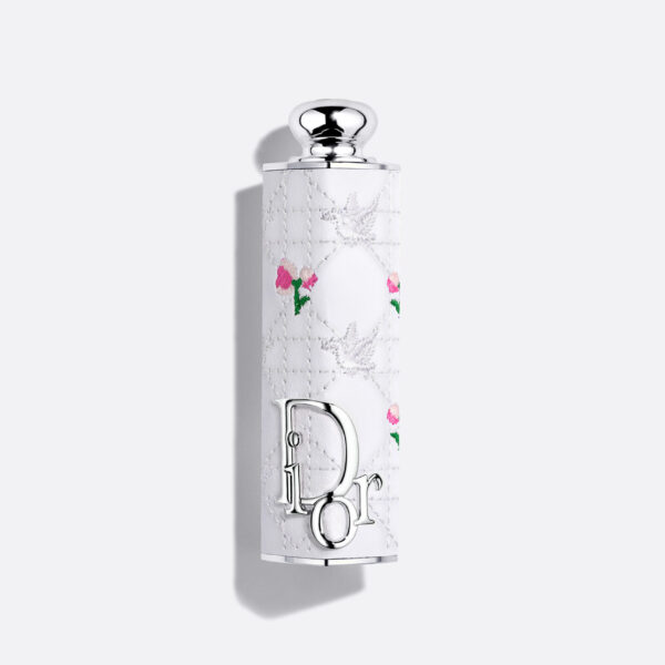 Son Dior Addict Lipstick Case