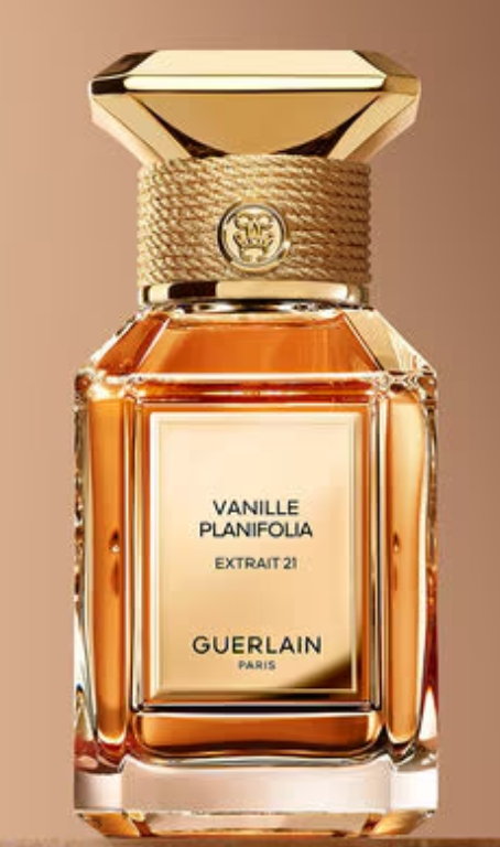 EDP Vanille Planifolia Extra