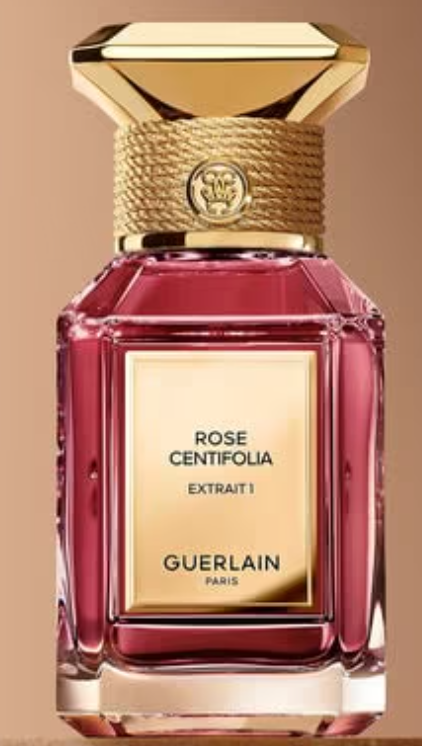 EDP Rose Centifolia Extrême 1 – Extrême
